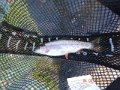 Big Sping Creek 04-03-13 009